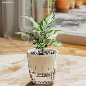 baomafanxi | Vại Thủy Canh Tự Hấp Thu Nước Cho Người Lười