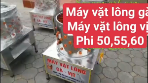 Máy vặt lông gàvịt làm bằng INOX 304 tặng kèm 10 núm vặt cao su non