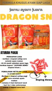 DRAGON SN 1 RENTENG jamu ayam - persiapan laga