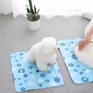 🐶ใช้แล้วเย็น 1แถม1🐱สัตว์เลี้ยง ที่นอนเย็น ทนต่อการสึกหรอไม่ติดขน ที่นอนเจลเย็น แผ่นเจลเย็น แผ่นเจลเย็นสุนัข แผ่นเจลเย็นแมว สัตว์เลี้ยง เบาะนอนเย็น สำหรับสัตว์เลี้ยง ที่นอนสัตว์เลี้ยง แผ่นเจลเย็นแมวสุนัข