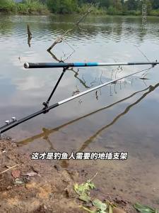 YEYINGZHE | Giá Đỡ Cây Đào Thép Không Gỉ Bền