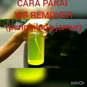 Water Spot Remover Bug Remover Pembersih Jamur Body Mobil