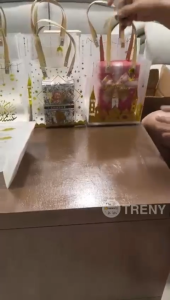 HARI RAYA GIFT BAG / PVC Frosted Bag Doorgift Ramadan Ramadhan Door Gift Beg Kuih Raya Reusable Packing