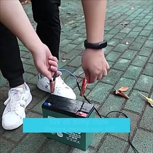 Bơm Chuyển Dầu Diesel Mini Chìm Hợp Kim Nhôm 51MM DC 12V 24V 30L/phút 25W Bơm Hút Bằng Tẩu Thuốc Lá Ô Tô Dùng Cho Dầu Và Nước