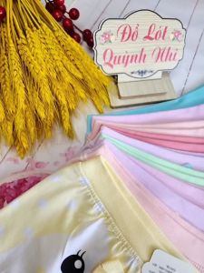 COMBO 5 Quần Lót Đùi Bé Gái (0546) Size :7 - 30Kg Cotton 100% Thấm Hút Tốt Mềm Mại Giãn Tốt Cực Xinh Xắn - Đồ Lót Quỳnh Nhi