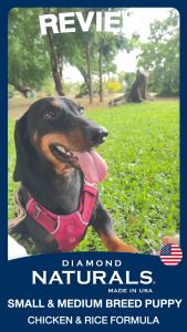 (680g) DIAMOND NATURALS SKIN & COAT อาหารสุนัข สูตรบำรุงผิวหนังและขนเหมาะกับสุนัขผิวแพ้ง่าย