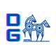 DG MOTOR