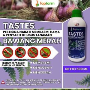 Obat Pertanian Untuk Bawang Merah / Pestisida Untuk Bawang Merah / Obat Penyubur Tanaman Bawang Merah / Obat Pembesar Buah Bawang Merah / Obat Penyubur Bawang Merah