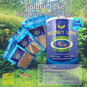 Golden Lake: BBS Eggs & Hatchable Salt Lake Fish Food