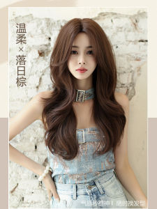 Natural Long Hair Full Head Cover Wig Big Curl Fake Hair Whole Real Human Hair Top Wig for Women Hair Care And Beauty