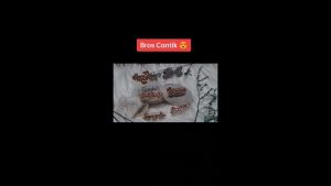 Bros Dagu Kecil Isi 6 pcs Campur Super Hemat