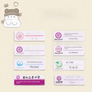 Ma Jiaqi Zhanshi Youth League TNT Name Brooch Ding Chengxin Liu Yaowen Song Yaxuan Student Chest Card Female