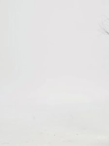 224[Color of the Year]MAH Young co-branded schoolbag Waterproof Outdoor Travel Lightweight Backpack for Female College Students