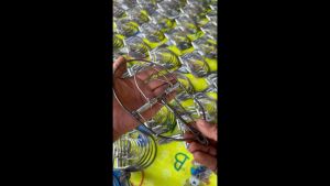 [ชุดเครื่องสำอางดักหนูโมดีฟายด์ ขนาด 6 นิ้ว สแตนเลส มัดละ 10 ตัว แบบมีฟัน และ ไม่มีฟัน]