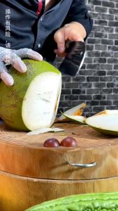 PISAU DAGING GOLOK DAPUR JAPANESE KNIFE JEPANG KOKI SUPER TAJAM