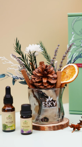 Set Quà Tặng Nam Nữ Ly Đá Khuếch Tán Tinh Dầu Thơm Phòng ESKY AROMA GARDEN (12 mùi)
