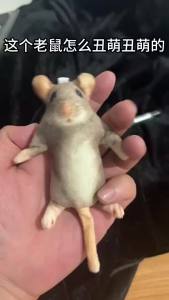 New Model of Simulated Rat and Rat Cat and Dog Entertainment Spoof Plush Doll with Skeleton Concave Shape Pet Toy