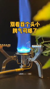 Folding Camping Stoves with Lgniter Storage Bag 4.8kw Stainless Steel Gas Stoves Portable Butane Burner Stove Outdoor Foldable Cooker Lightweight and Aurable for Camping and Hiking Trips