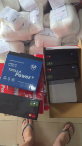 Bộ 4 bình ắc quy xe đạp điện 48V 20Ah TESLLA 6-DZF-20 ( Model30A)