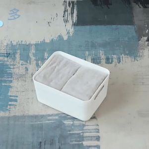 Stackable Storage box  Cabinet Organizer With dustproof Lid