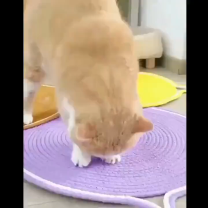 Sisal Scratch Pad For Cat Indoor Cat Scratching Pad Claw Scratching Cat Toy Kitten Cat Scratcher