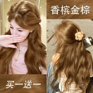 Champagne Gold Brown Hair Dyeing Paste Natural Plant Pure Linen Honey Milk Tea Popular Home Dyeing Agent Long Lasting Glossy