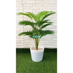 Pohon Imitasi Tanaman Artificial Palem Kelapa Hijau X18 Semilatex Pot Ulir Putih Dekorasi Kantor Pajangan Ruang Tamu