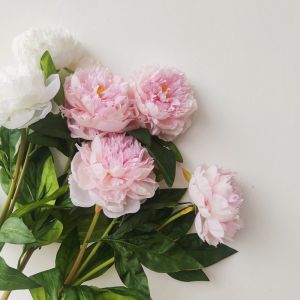 High Quality Realistic Peony Three-Head Long Branch White And Rose Red One-To-One Replication of Real Flowers Home Decorations