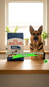 Royal Canin Maxi Adult 4kg Premium Dry Dog Food Kibble for Large Breed Adult Dogs Healthy Skin & Coat Omega 3 Weight Support Highly Palatable Big Dog Food Authentic Royal Canin Size Health Nutrition [New Stock]