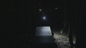 ASAFEE EV25 EDC Flashlight 650LM Mini LED RGB Side Light USB TypeC Rechargeable Aluminum Alloy Waterproof Magnetic Clip for Camping Hiking Outdoor