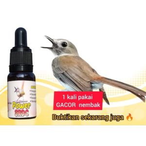 vitamin power srdc  penggacor burung srdc bahan hutan dan macetan.  jadi gacor setiap hari