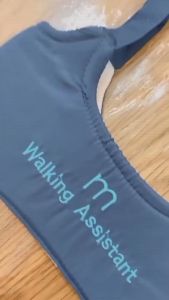 BabiesFirst Walking Assistant