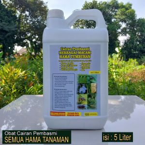 ISI ULANG | PEMBASMI HAMA TANAMAN | KUTU PUTIH | JAMUR | LALAT BUAH | WALANGSANGIT | WERENG | TUNGAU | 5 LITER | Aman Untuk Tanaman | 100% Ampuh