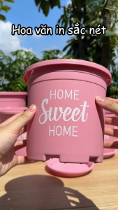 Chậu nhựa trồng cây VIETPOT màu hồng hoa văn Sweet Home trồng hoa kiểng lá để nhà sân vườn.