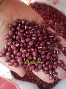 200เมล็ดพันธุ์ถั่วแดงเล็ก ปลูกง่าย ให้ผลผลิตดี เหมาะสำหรับทำขนมและอาหารเพื่อสุขภาพ