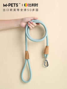 Universal Dog Leash Harness for Small Medium Large Dogs Teddy Corgi Bichon Home Use Dog Walking Rope Non-Slip Lock Buckle