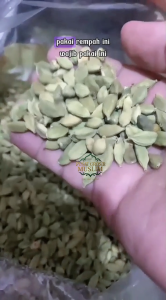 Kapulaga Arab - Kapulaga Hijau - Kapulaga India original 5gr 10gr 25gr dan 50gr