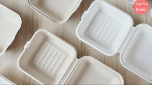 10pcs Disposable Bento Cake Box Clamshell Take Out Food Containers Burger Compostable Hinged Container