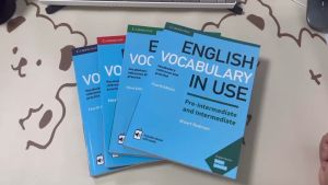 4books/set Cambridge University English Colored Vocabulary In Use Series Blue Bible Books Free Audio Send Your Email