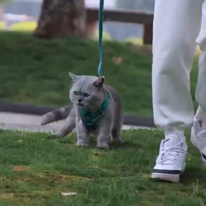 【JCFU】Breathable Harness Leash Set Reflective Anti-Escape Vest for Cats Kittens & Puppies【P012】
