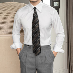 Wrinkle-Free Business Slim Fit Long Sleeve Shirt