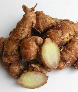 Kencur Segar 1Kg Cikur Segar 1Kg Murah