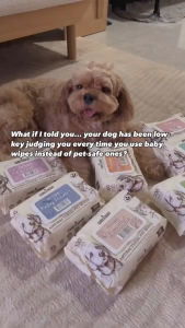 Care For The Good | CFTG - Antibacterial Pet Wipes 20pc for Cats Dogs & Small Animals