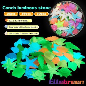 Colorful Luminous Stones Starfish Conch Shaped For Aquarium Garden Decoration 2-3cm