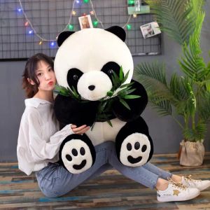 Fubao Plush Toys Giant Panda Dolls Simulation Soft Stuffed Toys for Gifts Chengdu Souvenir HuaHua Dolls Childrens Playthings