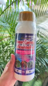 โพรพาโมคาร์บ ไฮโดรคลอไรด์ 500cc ป้องกันกำจัดโรคเน่าดำหรือเน่าเข้าไส้ในกล้วยไม้ โรคใบไหม้ในมันฝรั่ง มะเขือเทศ โรคผลเน่าในเงาะ ทุเรียน โรคยอดเน่า ต้นเน่าในสับปะรด โรครากเน่าโคนเน่าในทุเรียน ส้ม ส้มโอ มะละกอ พริก ผัก