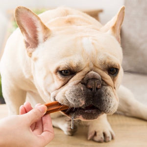 FOLOPETS Dentalstick untuk Anjing Dental Sticks Anjing Makanan Snack Anjing Pembersih Gigi Nutrisi Molar Stick Dog Treat 210g