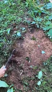 Cangkul Berkebun - Cangkul Penanam Tanaman / Sayuran Stainless Steel Untuk Kebun Farm Garden