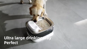 【SG  Stock】 Wireless Pet Water Dispenser Dog Water Dispenser Automatic Water Dispenser Filter water