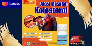Obat Penurun Kolesterol Darah Tinggi Asam Urat Nyeri Sendi